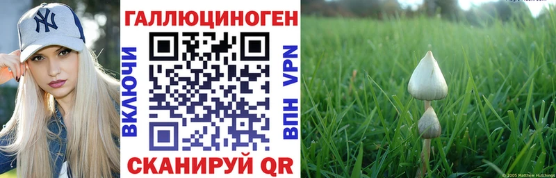 Галлюциногенные грибы мухоморы  Новочеркасск 