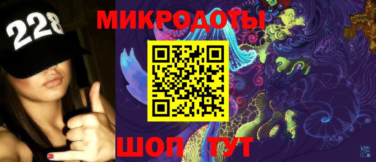 Галлюциногенные грибы Psilocybine cubensis Новочеркасск
